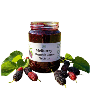Melburry Jam